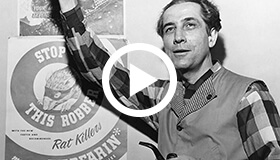 Top Five Discoveries Image