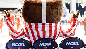 Bucky at the Final Four