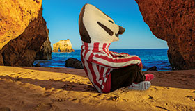 Bucky sitting on beach in Brazil.