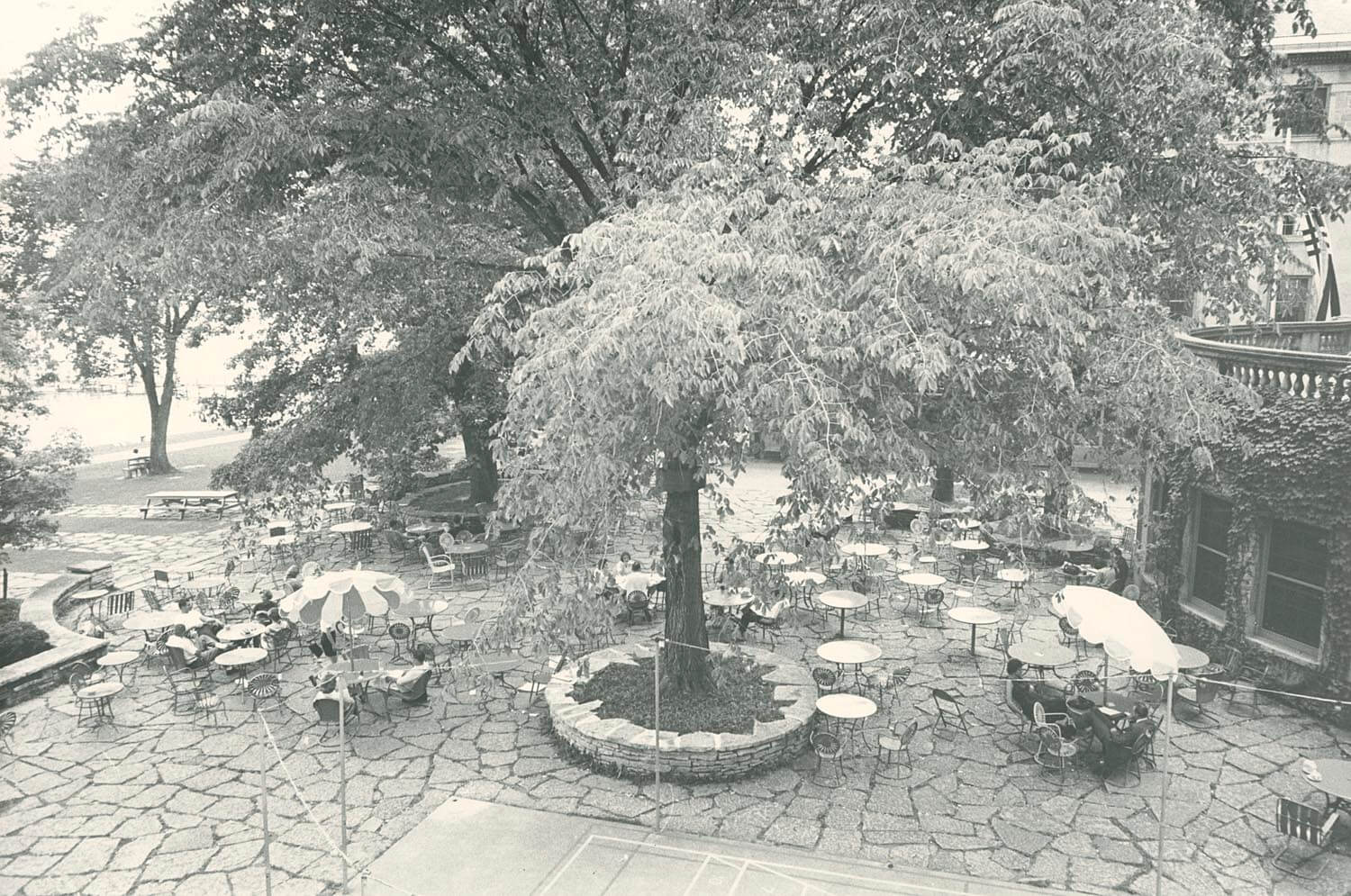 Black and White photo of Terrace 1950s